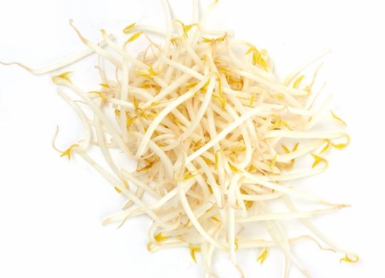 Mung-Bean-Sprouts-1200[1]