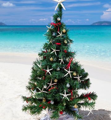 beachy-christmas-tree_dk0uh7[1]
